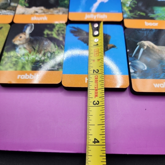 47 pc Animal Themed Foam Magnets 2.5x2" Rectangular Children Learning Education - Picture 2 of 5